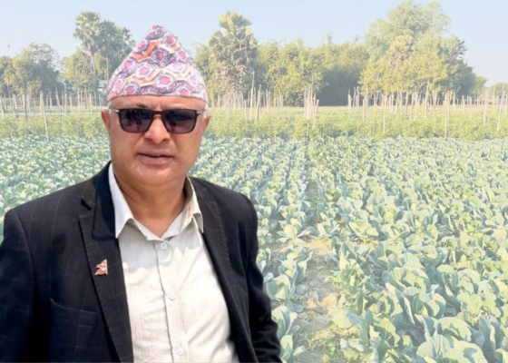 कोशी प्रदेश सरकारले ल्यायो कृषकलाई व्यावसायिक कृषि बढाउने अवसर
