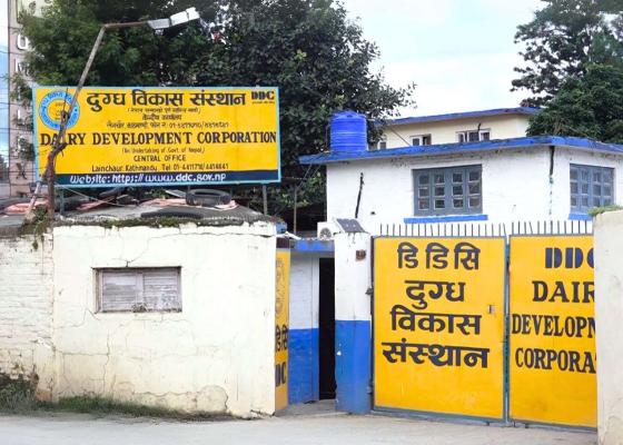 सरकारी उद्योगमा सुधारको संकेत, घाटामा रहेका केही उद्योग नाफातर्फ
